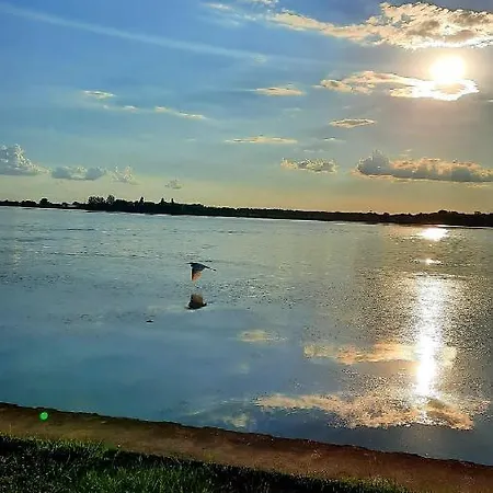 Rb 1 * Palic